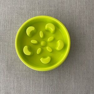 Slow feeder bowl